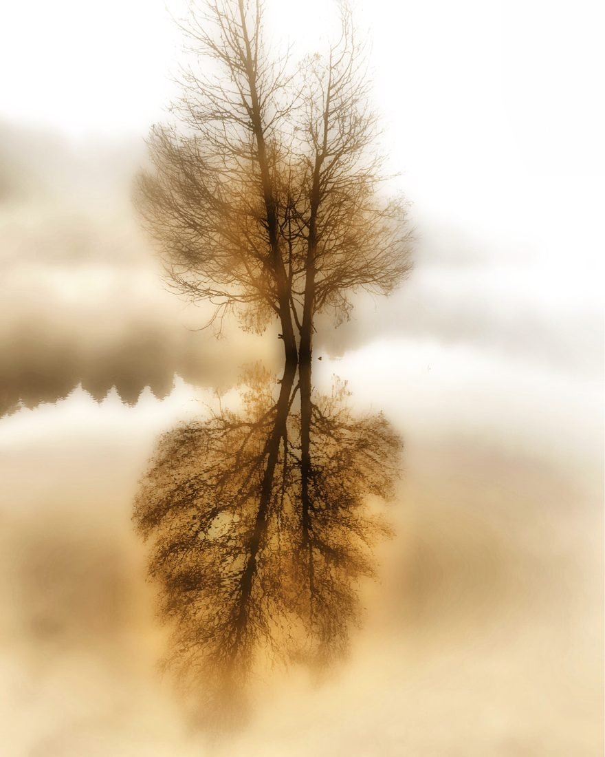Photo impressionism