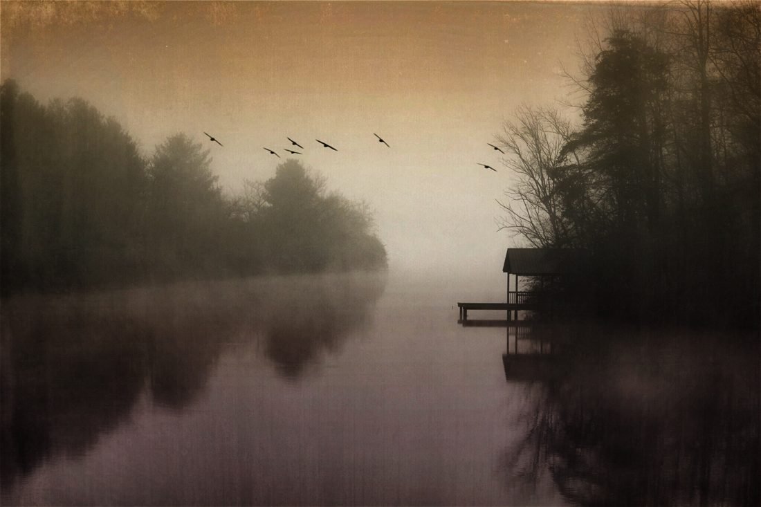Misty lake
