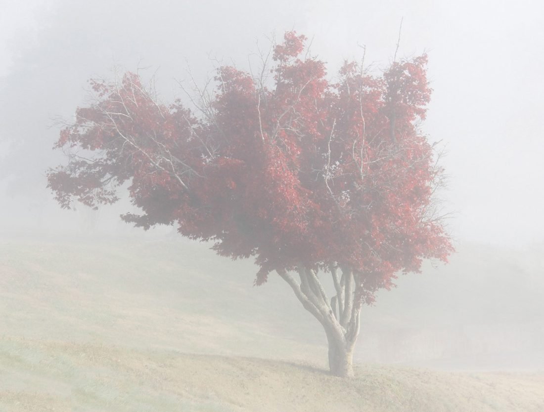Photo impressionism