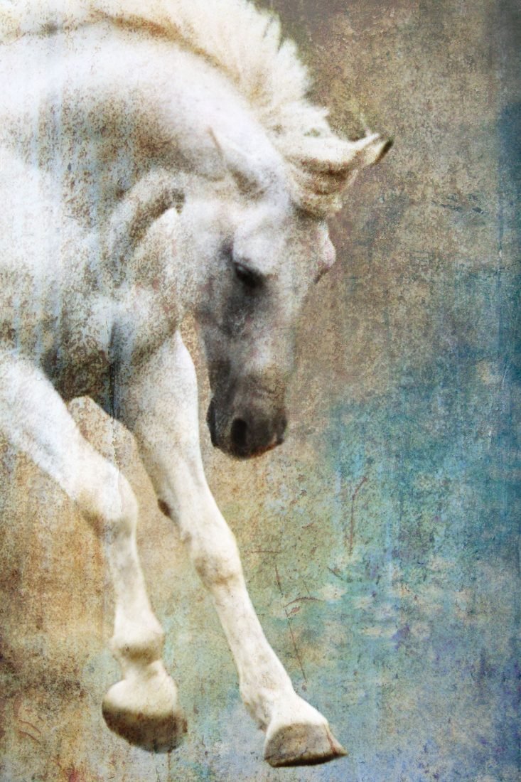 Horse painting